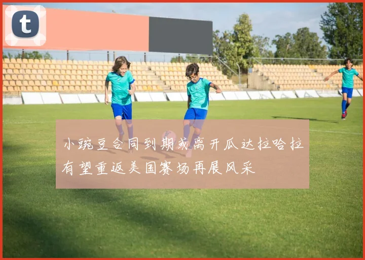 小豌豆合同到期或离开瓜达拉哈拉有望重返美国赛场再展风采