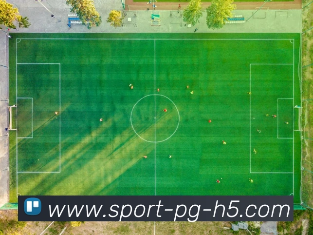 南宫体育服务体系